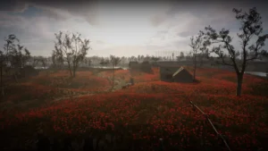 Гайд: Прохождение квеста «Маковые поля» в S.T.A.L.K.E.R. 2 (Все концовки)
