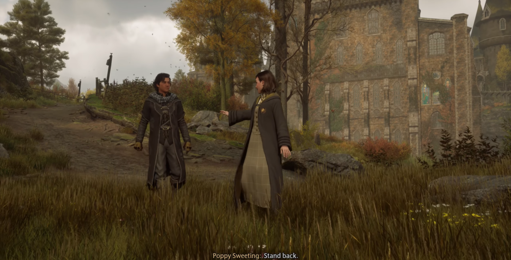 Поппи Свитинг разговаривает с учеником у Хогвартса Hogwarts Legacy