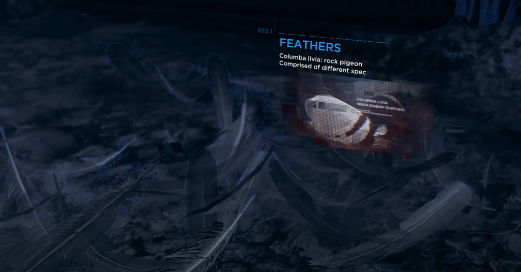 Экран FEATHERS показывает перья голубя на земле
