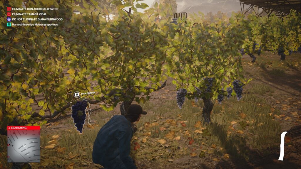 Агент 47 из Hitman собирает виноград на винограднике